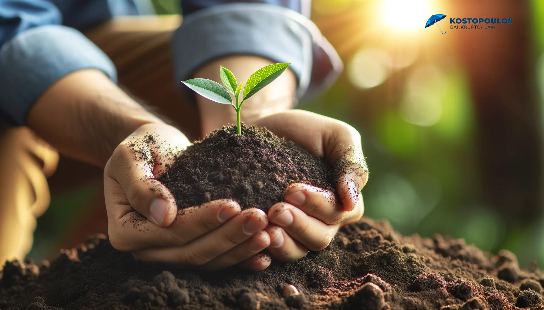 Hands holding a vibrant plant growing out of soil, symbolizing regrowth and the fresh start that comes after overcoming financial challenges.
